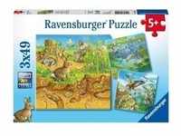 Ravensburger Kinderpuzzle - 08050 Tiere in ihren Lebensräumen - Puzzle für Kinder