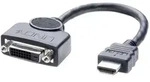 LINDY HDMI / DVI Adapterkabel HDMI-A Stecker, DVI-D 24+1pol. Buchse 0.20 m Schwarz