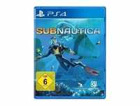 Subnautica (PlayStation 4)