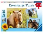 Puzzle Ravensburger Liebe Pferde 3 X 49 Teile