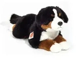 Berner Sennehund liegend 40 cm