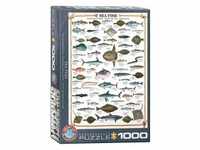 Eurographics 6000-0313 - Seefische, Puzzle, 1.000 Teile