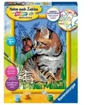 CreArt, Malen nach Zahlen Kinder - Katze mit Schmetterling