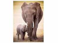 Eurographics 6000-0270 - Elephant & Baby , Puzzle, 1.000 Teile