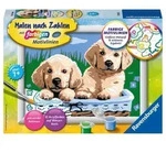 Ravensburger Malen nach Zahlen, S&uuml;&szlig;e Hundewelpen