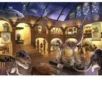 EXIT Puzzle Kids Ravensburger Im Naturkundemuseum 368 Teile
