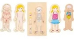 Schichtenpuzzle Anatomie M&auml;dchen