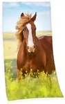 Young Collection 6124206516 - Pferd Velourstuch, 75x150 cm, 100% Baumwolle