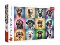 Lustige Hunde Porträts (Puzzle)