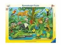 Ravensburger 05140 - Tiere im Regenwald, Rahmenpuzzle, 11 Teile