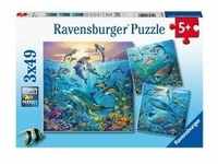 Ravensburger 05149 - Tierwelt des Ozeans, Kinderpuzzle, 3x49 Teile