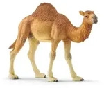 schleich&reg; Wild Life Dromedar 10cm