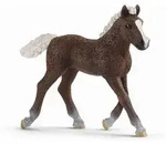 schleich&reg; 13899 - Farm World, Schwarzw&auml;lder Fohlen, Pferd, Tierfigur