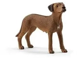 schleich&reg; 13895 Farm World Rhodesian Ridgeback