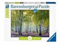 Ravensburger Puzzle Nature Edition 16753 - Birkenwald - 1000 Teile Puzzle für