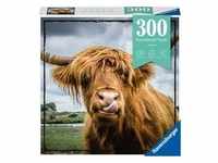 Ravensburger 13273 - Highland Cattle, Puzzle Moment, 300 Teile