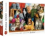 Puzzles - "1000" - Katzentreffen