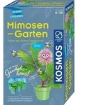 Mimosen-Garten