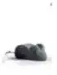Maus