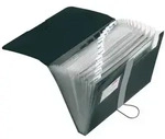 Herlitz F&auml;chermappe A4 PP 12 F&auml;cher, schwarz