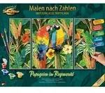 Schipper Malen nach Zahlen - Papageien im Regenwald (Tripty)