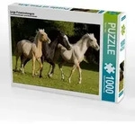 CALVENDO Puzzle junge Palominohengste 1000 Teile Lege-Gr&ouml;&szlig;e 64x48cm...