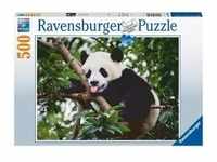 Pandabär (Puzzle)