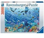 Erwachsenenpuzzle 3000 Teile - Bunter Unterwasserspa&szlig;