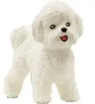 schleich&reg; Farm World Bichon Fris&eacute; 3,7cm