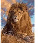 Diamond Painting L&ouml;we 40x30 cm