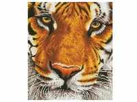 Diamond Dotz 2524940 - Diamond Painting Tiger