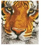 Diamond Dotz Tiger