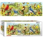 Backyard Birds Panoramic 1000pc