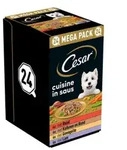 Cesar Cuisine in Sauce Multipack Nassfutter Hund Schale (150 g) 1 Packung (24 x 150