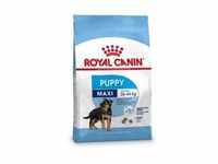 Royal Canin Maxi Puppy Hundefutter 15 kg