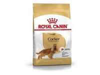 Royal Canin Adult Cocker Spaniel Hundefutter 12 kg