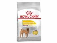 Royal Canin Medium Dermacomfort Hundefutter 12 kg