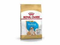 Royal Canin Puppy Bulldog Hundefutter 12 kg