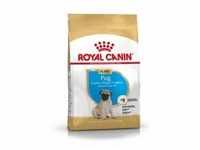 Royal Canin Puppy Mops Hundefutter 1,5 kg