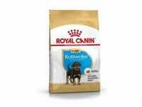 Royal Canin Puppy Rottweiler Hundefutter 12 kg