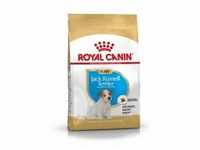 Royal Canin Puppy Jack Russell Terrier Hundefutter 3 kg