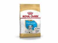 Royal Canin Puppy Dalmatiner Hundefutter 12 kg