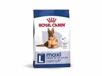 Royal Canin Maxi Ageing 8+ Hundefutter 3 kg