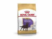 Royal Canin Sterilised Adult Labrador Retriever Hundefutter 12 kg