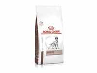 Royal Canin Veterinary Hepatic Hundefutter 1,5 kg