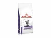 Royal Canin Expert Mature Consult Balance Katzenfutter 10 kg