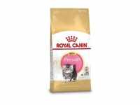 Royal Canin Kitten Perserkatze Katzenfutter 4 kg