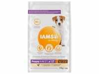 Iams for Vitality Puppy Small & Medium mit Huhn Hundefutter 12 kg