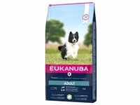 Eukanuba Adult Kleine/Mittelgroβe Rassen mit viel Lamm & Reis Hundefutter 12 kg