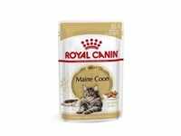 Royal Canin Maine Coon Adult Nassfutter 1 Karton (12 x 85 g)